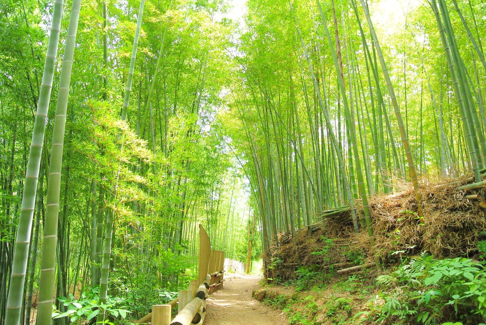 Shinto